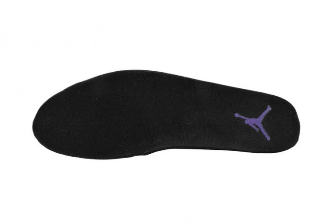 MaikeSneakers Jordan Air 12 Purple Retro CT8013-057 Field 0708